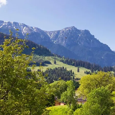 Cozy Bran Holiday home Bran (Brasov)