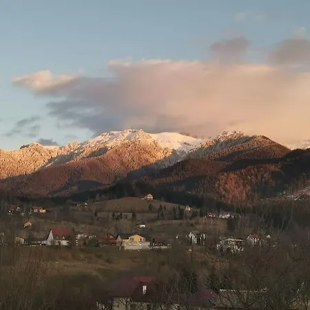 Holiday home Cozy Bran Bran (Brasov)